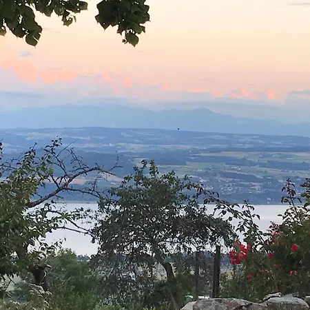 Maison D Hotes Les Bruyeres Bed & Breakfast